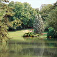 Douai short dog walk, France - Image 1