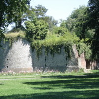 Douai short dog walk, France - Image 2