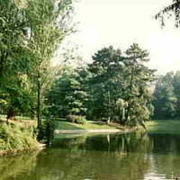 Douai short dog walk, France - Image 3
