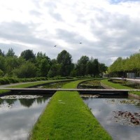 Amiens dog walk, France - Image 1