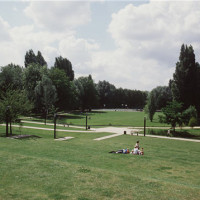 Amiens dog walk, France - Image 2