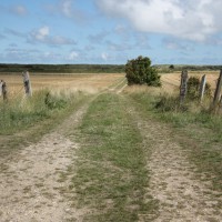 Huttoft car terrace dog friendly beach, Lincolnshire - Dog walks in Lincolnshire
