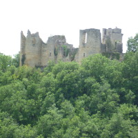 A20 exit 57 dog walk at the old Chateau, France - Image 1