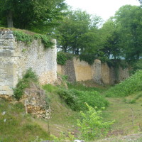 A89 exit 13 dog walk near Mussidan, France - Image 1