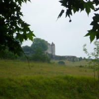 A89 exit 13 dog walk near Mussidan, France - Image 2