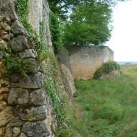 A89 exit 13 dog walk near Mussidan, France - Image 3
