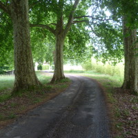 A89 exit 13 dog walk near Mussidan, France - Image 4