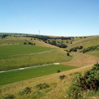 Castle Hill National Nature Reserve dog walk, East Sussex - Dog walks in Sussex