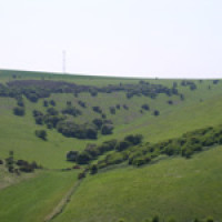 Castle Hill National Nature Reserve dog walk, East Sussex - Dog walks in Sussex