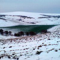 Castle Hill National Nature Reserve dog walk, East Sussex - Dog walks in Sussex