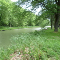 A61 between 20-21 Aire de Port Lauragais dog walk, France - Image 1