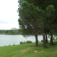 A61 between 20-21 Aire de Port Lauragais dog walk, France - Image 3