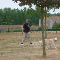 A83/6-7 Aire de la Vendée, France - Image 1