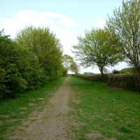 Lotherton Hall dog walk, West Yorkshire - Dog walks in Yorkshire