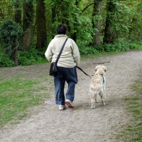 Lotherton Hall dog walk, West Yorkshire - Dog walks in Yorkshire