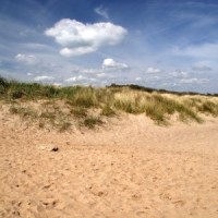 Anderby Creek dog-friendly beach, Lincolnshire - Dog walks in Lincolnshire