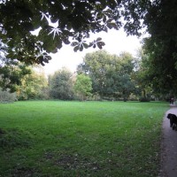 Newbury Creek dog walk, Berkshire - Berkshire dog walk