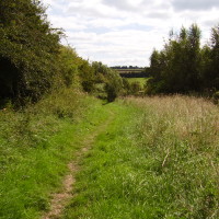Oxclose Woods dog walk, Nottinghamshire - Dog walks in Nottinghamshire