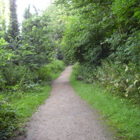 Oxclose Woods dog walk, Nottinghamshire - Dog walks in Nottinghamshire