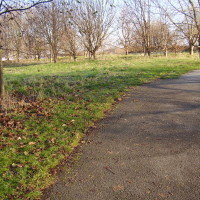 Trent Meadows dog walk, Nottinghamshire - Dog walks in Nottinghamshire