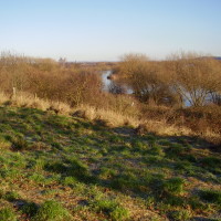 Trent Meadows dog walk, Nottinghamshire - Dog walks in Nottinghamshire