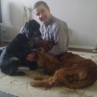 Chores for PAWS - pet sitting, Kent - Image 4