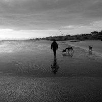 Normans Bay beach and dog walk, East Sussex - Sussex dog-friendly beach