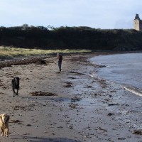 Greenan Beach dog walk near Ayr, Scotland - Dog walks in Scotland