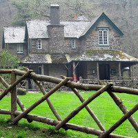 Lyn Valley dog walk, North Devon - Dog walks in Devon