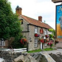 A38 Dog walk by the River Severn, Gloucestershire - Dog walks in Gloucestershire