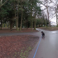 Ropner Park dog walk near Stockton, County Durham - Dog walks in County Durham