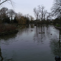 Ropner Park dog walk near Stockton, County Durham - Dog walks in County Durham
