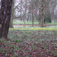 Ropner Park dog walk near Stockton, County Durham - Dog walks in County Durham