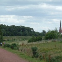 A1M Junction 38 dog walk near Doncaster, South Yorkshire - Dog walks in Yorkshire
