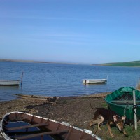 The Fleet dog walk near Weymouth, Dorset - Dog walks in Dorset