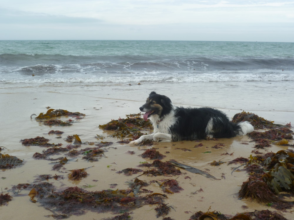 Carteret Dating Area Carteret Dating Area