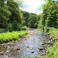 Brock Bottoms dog walk, Lancashire - Dog walks in Lancashire