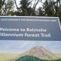 Loch Lomond dog walk at Balmaha, Scotland - Dog walks in Scotland