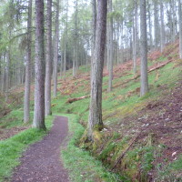 Loch Lomond dog walk at Balmaha, Scotland - Dog walks in Scotland
