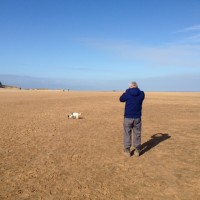 20km of sheer doggie delight Wells next the Sea, Norfolk - IMG_8057.JPG