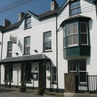 Dog friendly country pub and great local food, Devon - foxandgoose.jpg