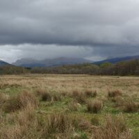 Castle ruins dog walk, Scotland - Dog walks on the way to Connel