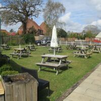 Lyng dog-friendly pub, Norfolk - Norfolk dog-friendly pub with garden