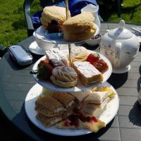 Kitnors dog-friendly Tea Garden near Minehead, Somerset - Kitnors dog-friendly tea garden.jpg