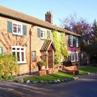 Great Cressingham dog-friendly pub and dog walks, Norfolk - Dog walks in Norfolk