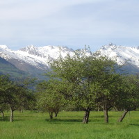 Tarentaise 15km Riverside Path dog walk, France - Image 1