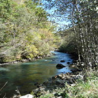 Tarentaise 15km Riverside Path dog walk, France - Image 2