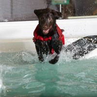 My Pet Stop, Tingley, West Yorkshire - Image 3