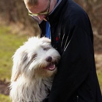 My Pet Stop, Tingley, West Yorkshire - Image 4