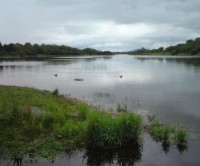 Lough Lannagh dog walk, RoI - Dog walks in Ireland
